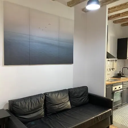 Spacious Modern In The Vibrant El Raval Apartment Barcelona